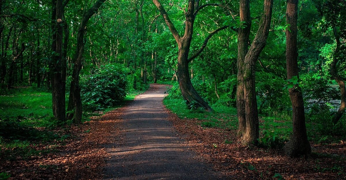 গাজীপুর জেলা পরিষদের পূর্বতন চেয়ারম্যানবৃন্দ